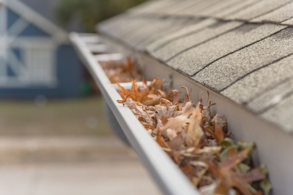 Leaf Barrier Installation in Southern Pines
